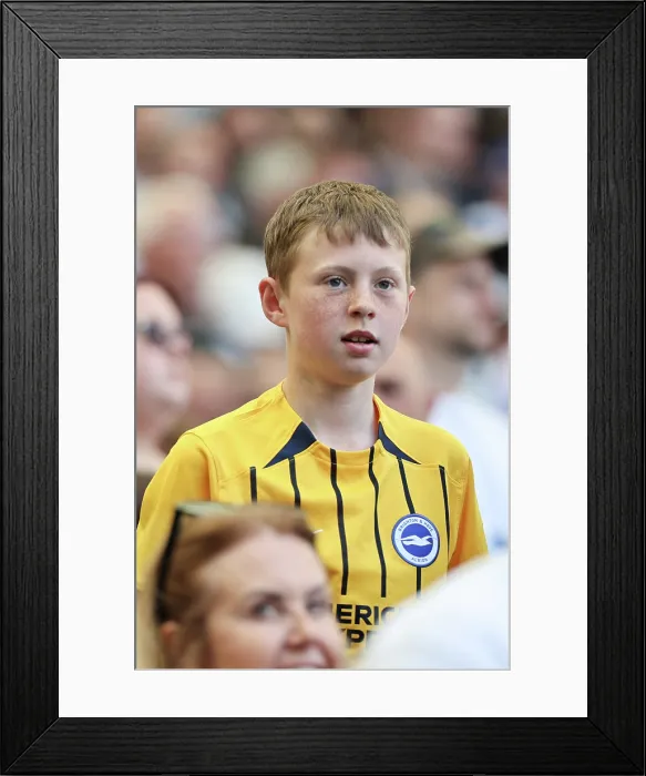 Framed Print : Brighton and Hove Albion v Wolverhampton Wanderers Premier League 09MAY26 Framed Print : Brighton and Hove Albion v Wolverhampton Wanderers Premier League 09MAY26