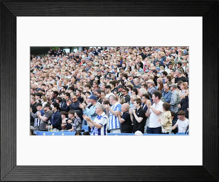 Framed Print : Brighton and Hove Albion v Wolverhampton Wanderers Premier League 09MAY26 Framed Print : Brighton and Hove Albion v Wolverhampton Wanderers Premier League 09MAY26
