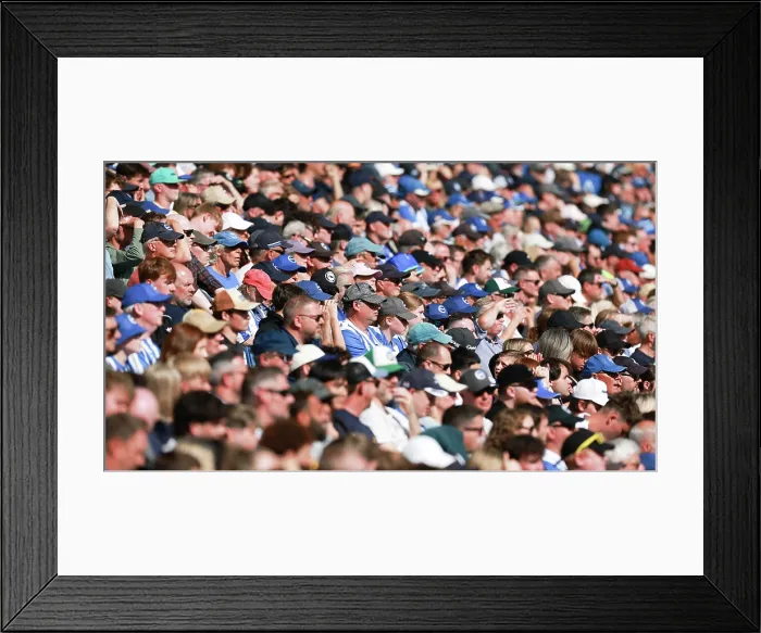 Framed Print : Brighton and Hove Albion v Wolverhampton Wanderers Premier League 09MAY26 Framed Print : Brighton and Hove Albion v Wolverhampton Wanderers Premier League 09MAY26