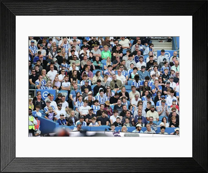 Framed Print : Brighton and Hove Albion v Wolverhampton Wanderers Premier League 09MAY26 Framed Print : Brighton and Hove Albion v Wolverhampton Wanderers Premier League 09MAY26