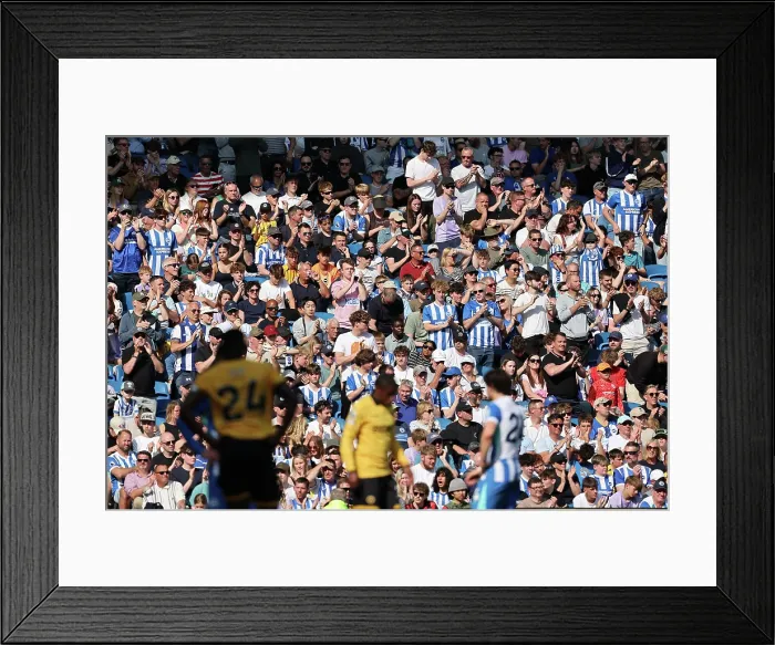 Framed Print : Brighton and Hove Albion v Wolverhampton Wanderers Premier League 09MAY26 Framed Print : Brighton and Hove Albion v Wolverhampton Wanderers Premier League 09MAY26