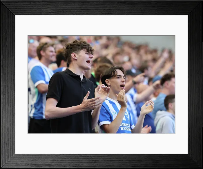 Framed Print : Brighton and Hove Albion v Wolverhampton Wanderers Premier League 09MAY26 Framed Print : Brighton and Hove Albion v Wolverhampton Wanderers Premier League 09MAY26