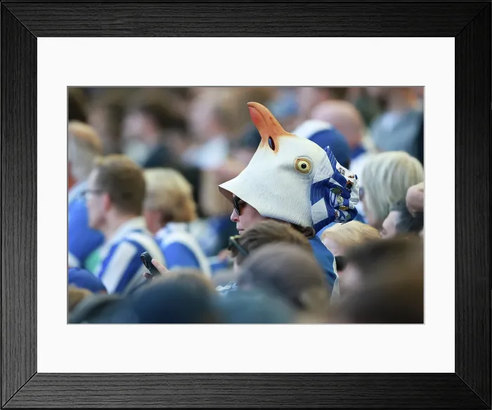 Framed Print : Brighton and Hove Albion v Wolverhampton Wanderers Premier League 09MAY26 Framed Print : Brighton and Hove Albion v Wolverhampton Wanderers Premier League 09MAY26