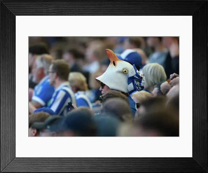 Framed Print : Brighton and Hove Albion v Wolverhampton Wanderers Premier League 09MAY26 Framed Print : Brighton and Hove Albion v Wolverhampton Wanderers Premier League 09MAY26