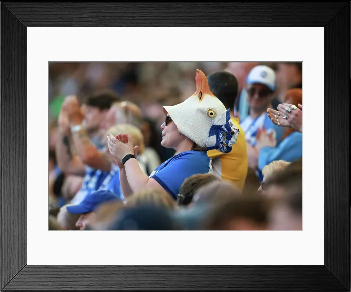 Framed Print : Brighton and Hove Albion v Wolverhampton Wanderers Premier League 09MAY26 Framed Print : Brighton and Hove Albion v Wolverhampton Wanderers Premier League 09MAY26