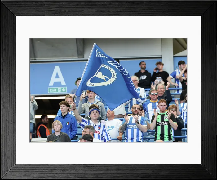 Framed Print : Brighton and Hove Albion v Wolverhampton Wanderers Premier League 09MAY26 Framed Print : Brighton and Hove Albion v Wolverhampton Wanderers Premier League 09MAY26