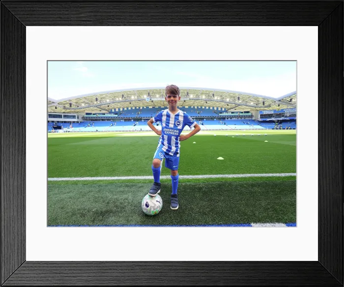 Framed Print : Brighton and Hove Albion v Wolverhampton Wanderers Premier League 09MAY26