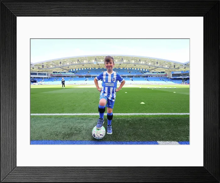 Framed Print : Brighton and Hove Albion v Wolverhampton Wanderers Premier League 09MAY26 Framed Print : Brighton and Hove Albion v Wolverhampton Wanderers Premier League 09MAY26