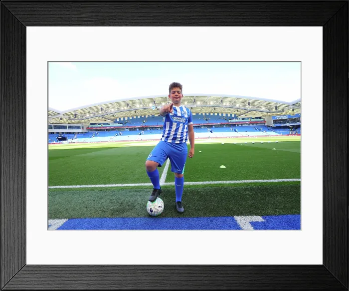 Framed Print : Brighton and Hove Albion v Wolverhampton Wanderers Premier League 09MAY26 Framed Print : Brighton and Hove Albion v Wolverhampton Wanderers Premier League 09MAY26