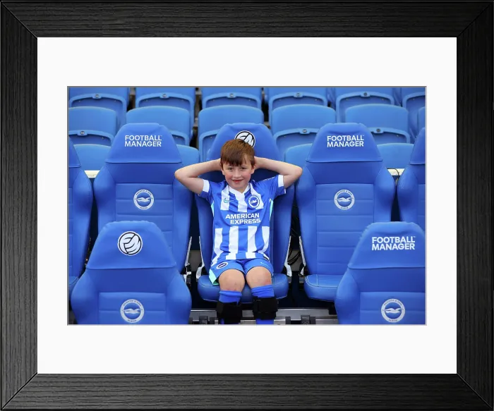 Framed Print : Brighton and Hove Albion v Wolverhampton Wanderers Premier League 09MAY26 Framed Print : Brighton and Hove Albion v Wolverhampton Wanderers Premier League 09MAY26