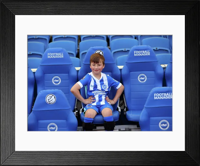 Framed Print : Brighton and Hove Albion v Wolverhampton Wanderers Premier League 09MAY26 Framed Print : Brighton and Hove Albion v Wolverhampton Wanderers Premier League 09MAY26
