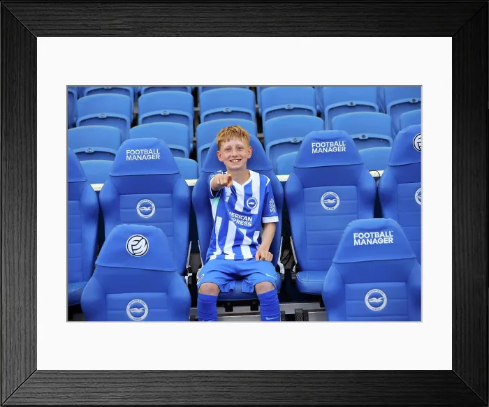 Framed Print : Brighton and Hove Albion v Wolverhampton Wanderers Premier League 09MAY26 Framed Print : Brighton and Hove Albion v Wolverhampton Wanderers Premier League 09MAY26