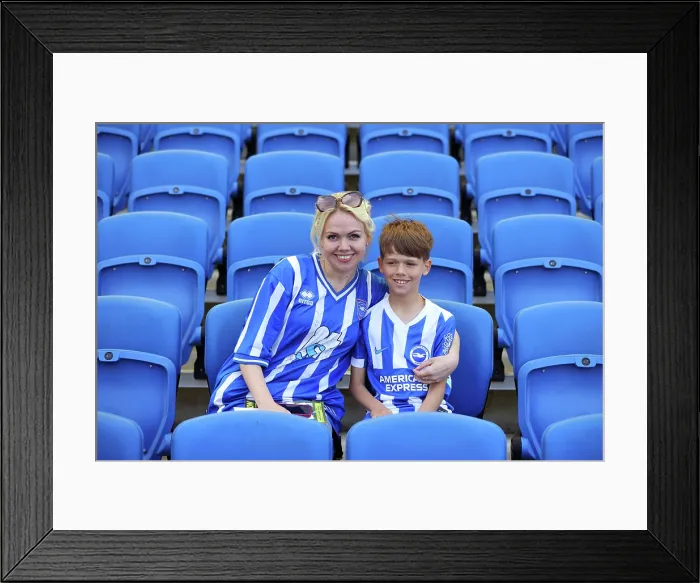 Framed Print : Brighton and Hove Albion v Wolverhampton Wanderers Premier League 09MAY26