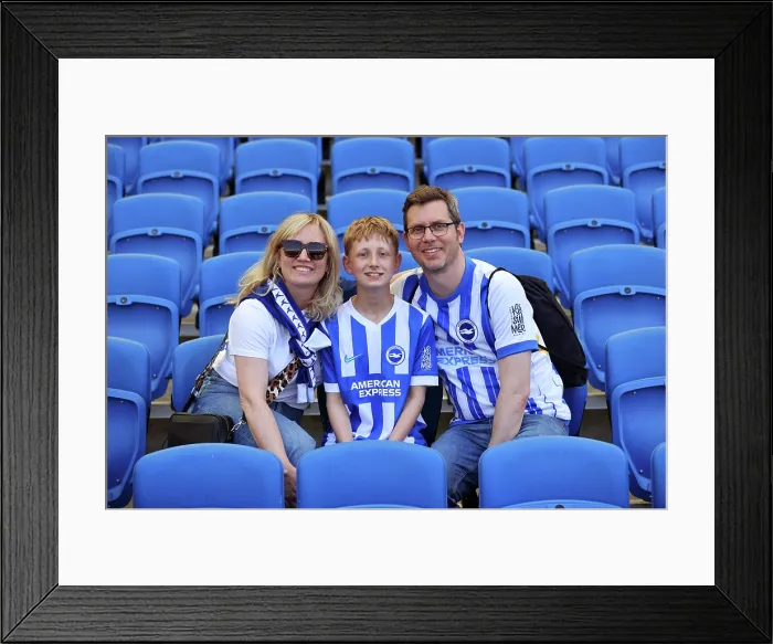 Framed Print : Brighton and Hove Albion v Wolverhampton Wanderers Premier League 09MAY26