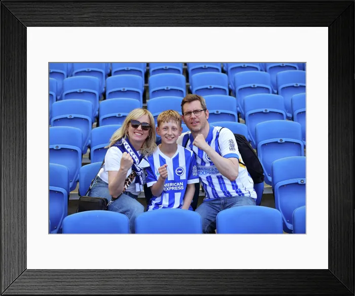 Framed Print : Brighton and Hove Albion v Wolverhampton Wanderers Premier League 09MAY26