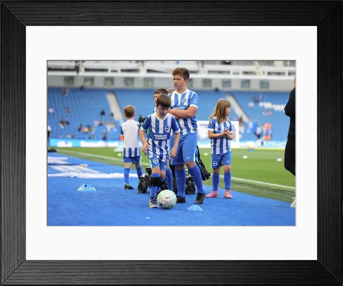 Framed Print : Brighton and Hove Albion v Wolverhampton Wanderers Premier League 09MAY26 Framed Print : Brighton and Hove Albion v Wolverhampton Wanderers Premier League 09MAY26
