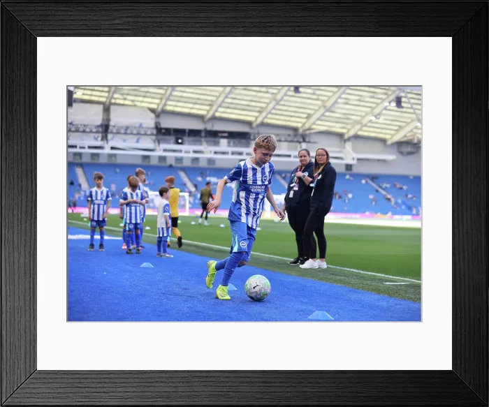 Framed Print : Brighton and Hove Albion v Wolverhampton Wanderers Premier League 09MAY26 Framed Print : Brighton and Hove Albion v Wolverhampton Wanderers Premier League 09MAY26