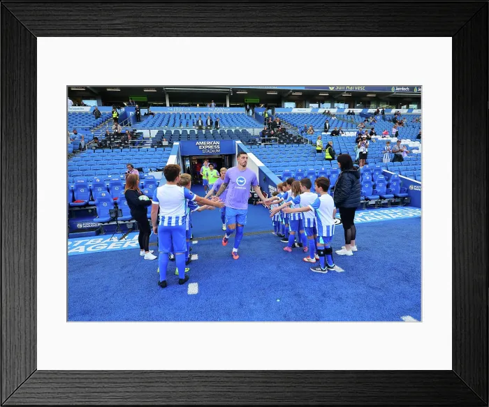 Framed Print : Brighton and Hove Albion v Wolverhampton Wanderers Premier League 09MAY26 Framed Print : Brighton and Hove Albion v Wolverhampton Wanderers Premier League 09MAY26