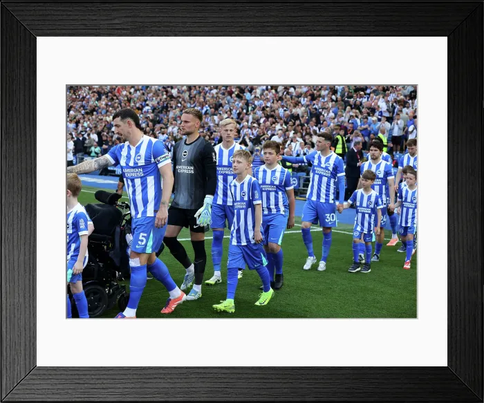 Framed Print : Brighton and Hove Albion v Wolverhampton Wanderers Premier League 09MAY26 Framed Print : Brighton and Hove Albion v Wolverhampton Wanderers Premier League 09MAY26