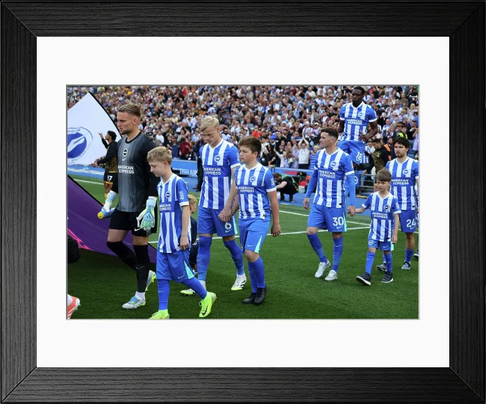 Framed Print : Brighton and Hove Albion v Wolverhampton Wanderers Premier League 09MAY26 Framed Print : Brighton and Hove Albion v Wolverhampton Wanderers Premier League 09MAY26