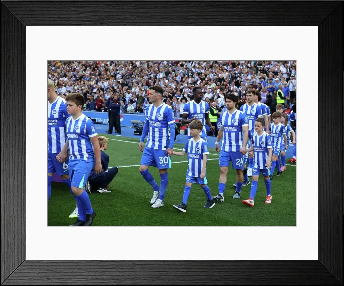 Framed Print : Brighton and Hove Albion v Wolverhampton Wanderers Premier League 09MAY26 Framed Print : Brighton and Hove Albion v Wolverhampton Wanderers Premier League 09MAY26