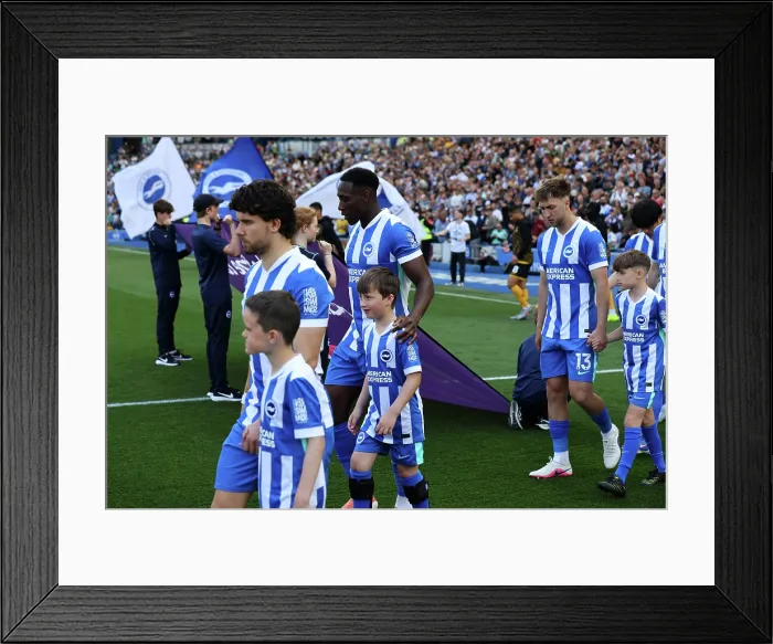 Framed Print : Brighton and Hove Albion v Wolverhampton Wanderers Premier League 09MAY26 Framed Print : Brighton and Hove Albion v Wolverhampton Wanderers Premier League 09MAY26