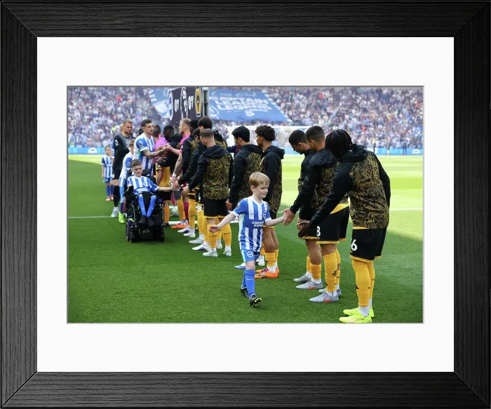 Framed Print : Brighton and Hove Albion v Wolverhampton Wanderers Premier League 09MAY26