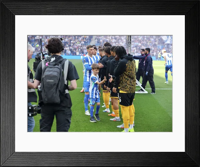 Framed Print : Brighton and Hove Albion v Wolverhampton Wanderers Premier League 09MAY26 Framed Print : Brighton and Hove Albion v Wolverhampton Wanderers Premier League 09MAY26