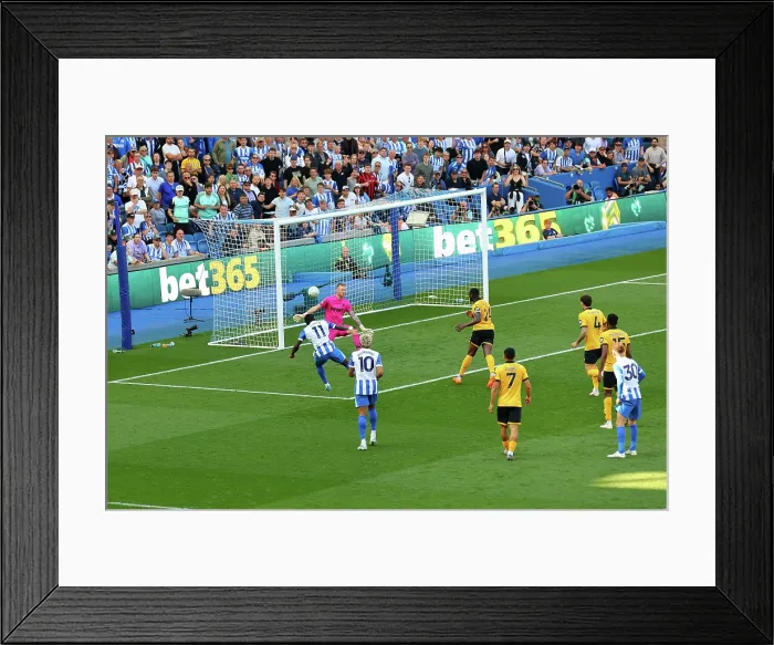 Framed Print : Brighton and Hove Albion v Wolverhampton Wanderers Premier League 09MAY26 Framed Print : Brighton and Hove Albion v Wolverhampton Wanderers Premier League 09MAY26
