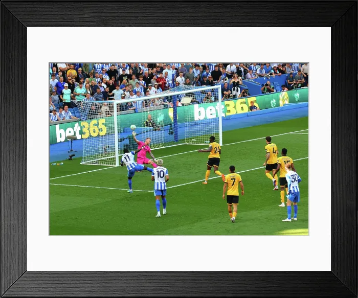Framed Print : Brighton and Hove Albion v Wolverhampton Wanderers Premier League 09MAY26 Framed Print : Brighton and Hove Albion v Wolverhampton Wanderers Premier League 09MAY26