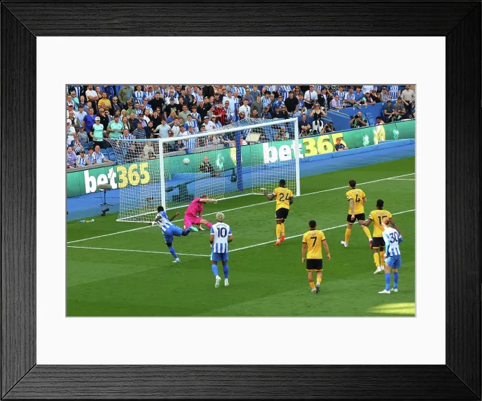 Framed Print : Brighton and Hove Albion v Wolverhampton Wanderers Premier League 09MAY26 Framed Print : Brighton and Hove Albion v Wolverhampton Wanderers Premier League 09MAY26
