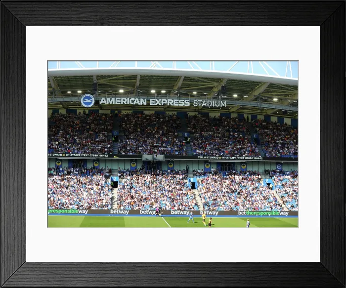 Framed Print : Brighton and Hove Albion v Wolverhampton Wanderers Premier League 09MAY26 Framed Print : Brighton and Hove Albion v Wolverhampton Wanderers Premier League 09MAY26