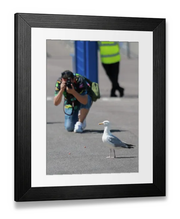 Framed Print : Brighton and Hove Albion v Roma Premier League 08AUG26 Framed Print : Brighton and Hove Albion v Roma Premier League 08AUG26