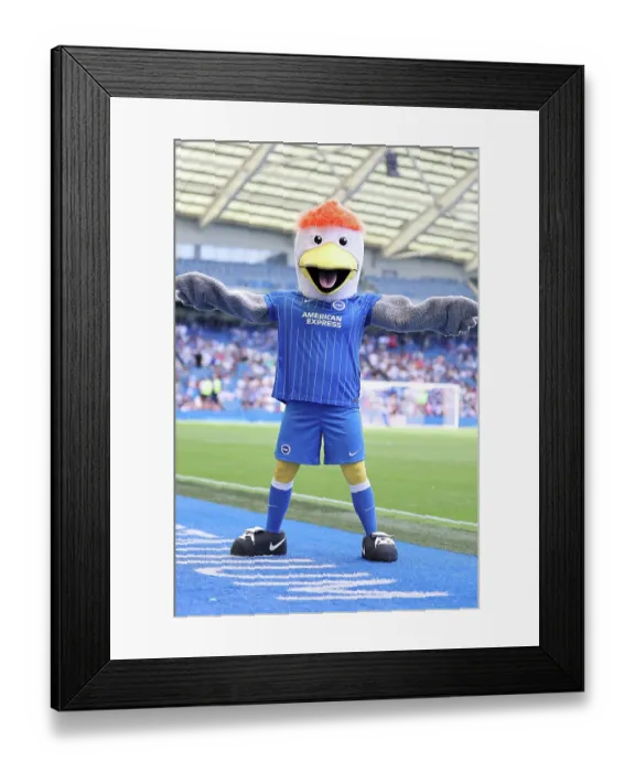 Framed Print : Brighton and Hove Albion v Roma Premier League 08AUG26 Framed Print : Brighton and Hove Albion v Roma Premier League 08AUG26