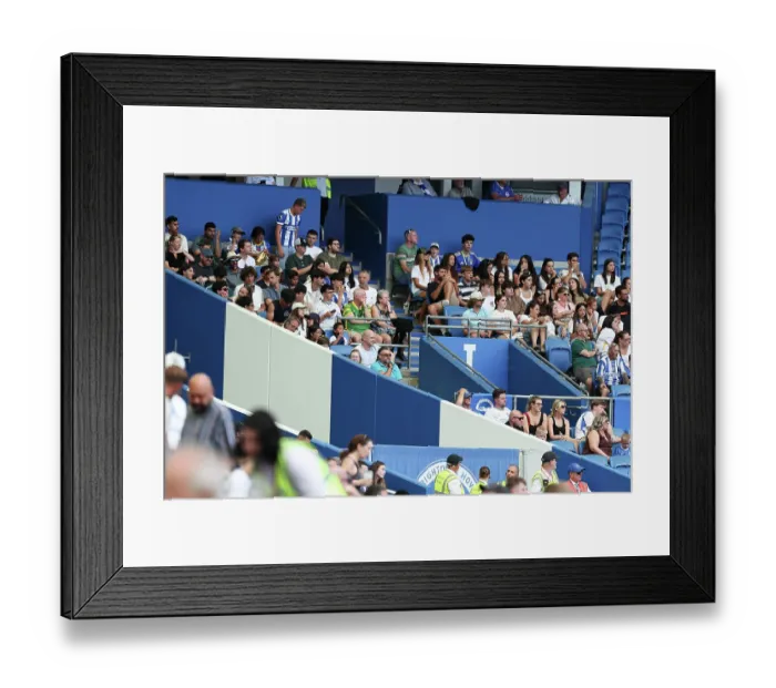 Framed Print : Brighton and Hove Albion v Roma Premier League 08AUG26 Framed Print : Brighton and Hove Albion v Roma Premier League 08AUG26