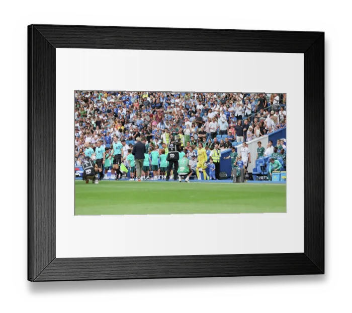 Framed Print : Brighton and Hove Albion v Bologna Premier League 15AUG26 Framed Print : Brighton and Hove Albion v Bologna Premier League 15AUG26