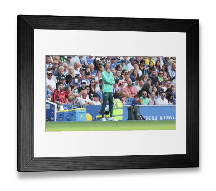 Framed Print : Brighton and Hove Albion v Bologna Premier League 15AUG26 Framed Print : Brighton and Hove Albion v Bologna Premier League 15AUG26