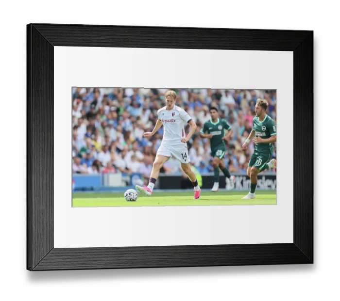 Framed Print : Brighton and Hove Albion v Bologna Premier League 15AUG26