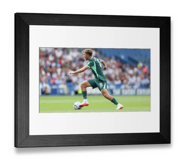 Framed Print : Brighton and Hove Albion v Bologna Premier League 15AUG26