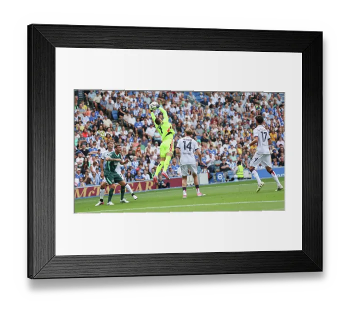 Framed Print : Brighton and Hove Albion v Bologna Premier League 15AUG26 Framed Print : Brighton and Hove Albion v Bologna Premier League 15AUG26