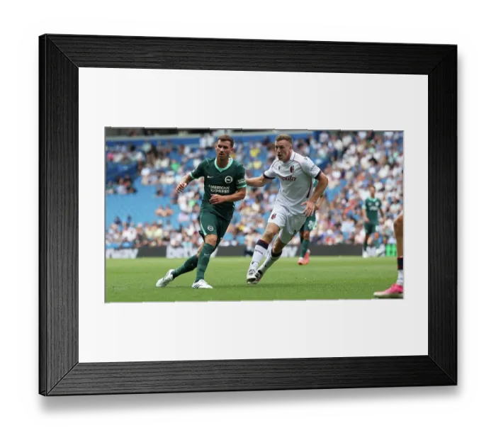 Framed Print : Brighton and Hove Albion v Bologna Premier League 15AUG26 Framed Print : Brighton and Hove Albion v Bologna Premier League 15AUG26