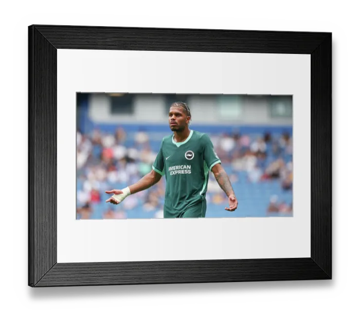 Framed Print : Brighton and Hove Albion v Bologna Premier League 15AUG26