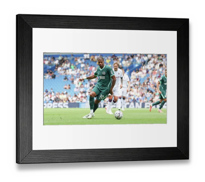 Framed Print : Brighton and Hove Albion v Bologna Premier League 15AUG26 Framed Print : Brighton and Hove Albion v Bologna Premier League 15AUG26