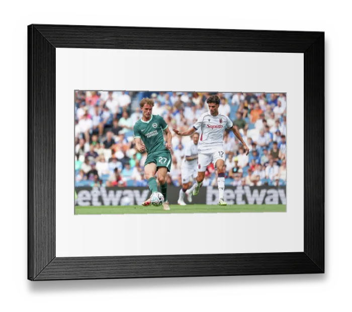 Framed Print : Brighton and Hove Albion v Bologna Premier League 15AUG26
