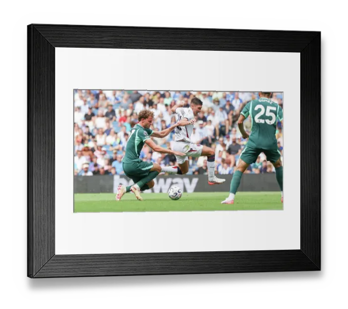 Framed Print : Brighton and Hove Albion v Bologna Premier League 15AUG26 Framed Print : Brighton and Hove Albion v Bologna Premier League 15AUG26