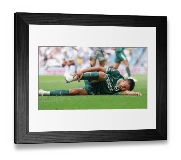 Framed Print : Brighton and Hove Albion v Bologna Premier League 15AUG26