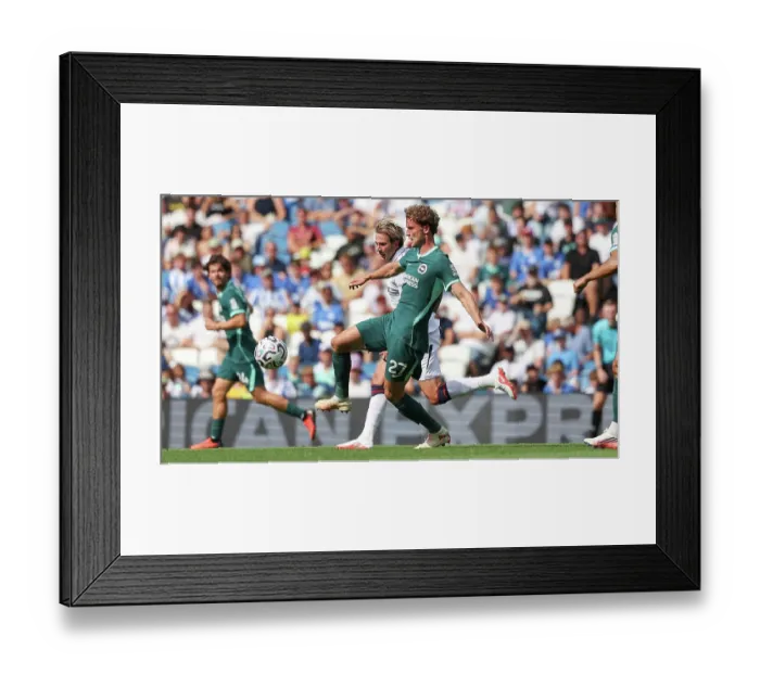 Framed Print : Brighton and Hove Albion v Bologna Premier League 15AUG26