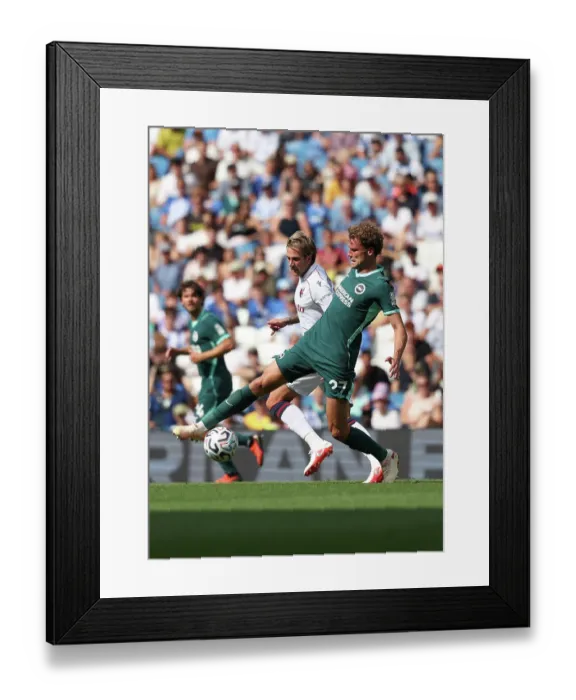 Framed Print : Brighton and Hove Albion v Bologna Premier League 15AUG26 Framed Print : Brighton and Hove Albion v Bologna Premier League 15AUG26