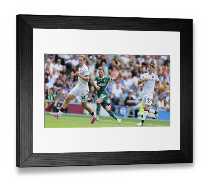 Framed Print : Brighton and Hove Albion v Bologna Premier League 15AUG26