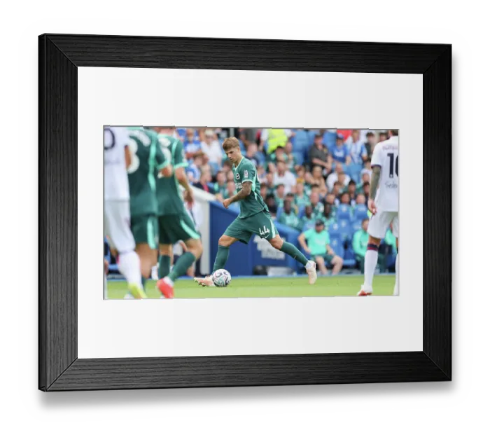 Framed Print : Brighton and Hove Albion v Bologna Premier League 15AUG26